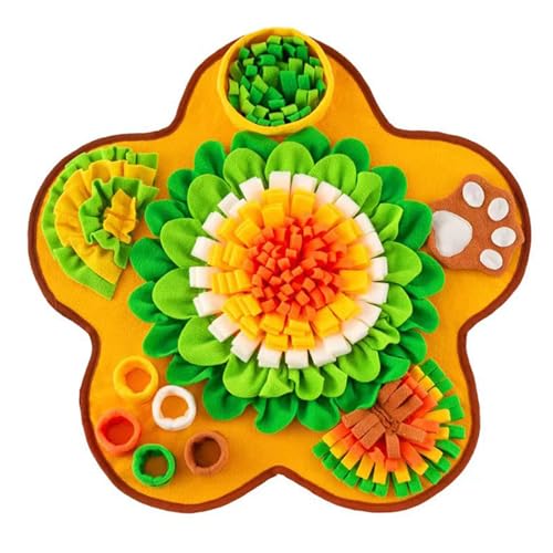 ybg̒xېHXibtpbhpHKƓ̋𑣂t[fUCX[tB[_[C^NVpY