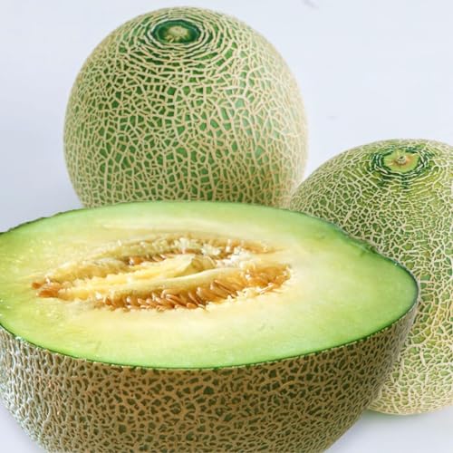 B-TOPAZ 2025年 青森県産 メロン ﻿ 糖度15度以上 食べ比べ 2玉 秀品 アムさん アーバンデリシャス スウィートルビー レノン ハニーゴールデン（2玉）のサムネイル