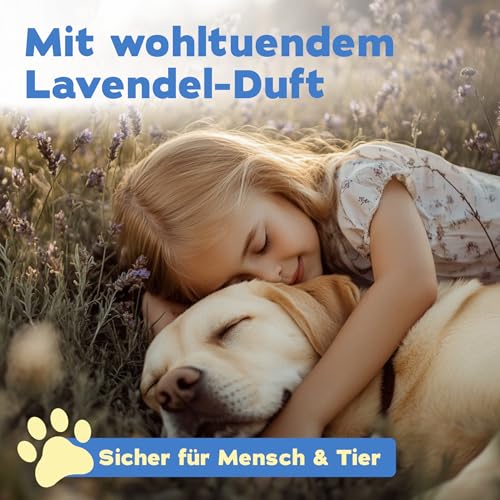 bio-chem Hunde Geruchsentferner Spray 750 ml - Enzymreiniger mit Mikroorganismen - Geruchsneutralisierer gegen Hundeurin Geruch - Entfernt Gerüche aus Sofa, Teppich, Polster nachhaltig - Made in DE