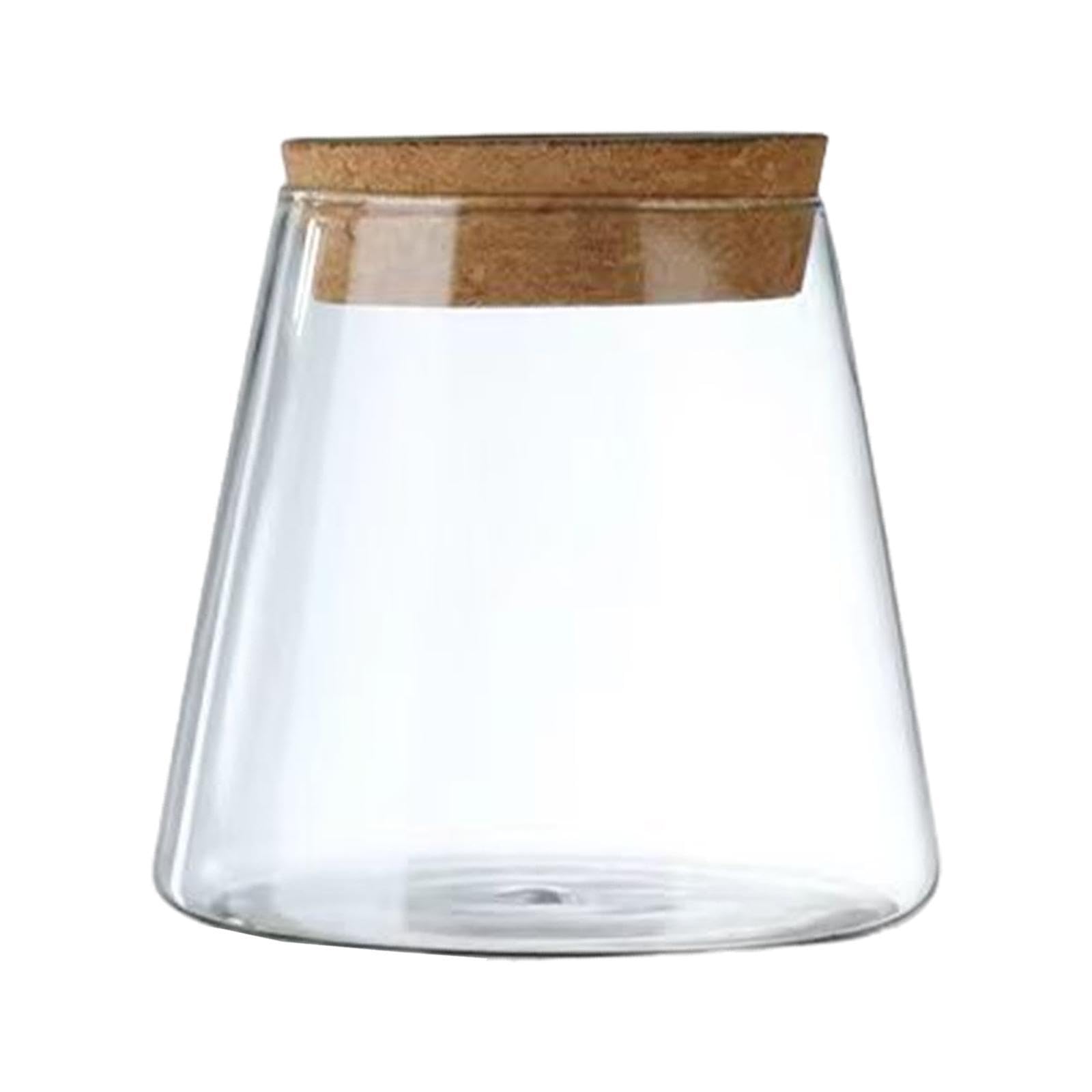 TWISAXC Glass Planter Vase Hydroponic Plants Bottle Office Home Decor for Creative And Novelty For Home And Office Desktop Plant Terrarium Wood Lid Hydroponic