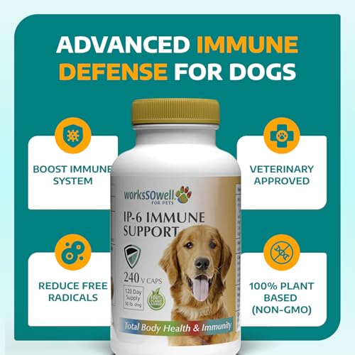 Image of 1-TDC WorksSoWell IP-6 Immune Support for Dogs - 240 V-Caps - Helps Promote Healthy Bones, Teeth, Kidney, Liver Functions and Cardiovascular Health - Total Body Health and Immunity