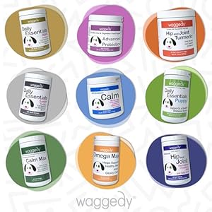 waggedy Omega Max Chews for Dogs with Salmon Oil & Flaxseed — Dog Essentials for Shiny Coats & Healthy Skin — Cat and Dog Supplements & Vitamins (60 Chews)