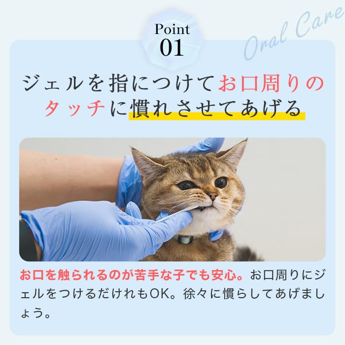 Amazon.co.jp: ミシュワン MISHONE トータルケアニャン 猫 歯磨き