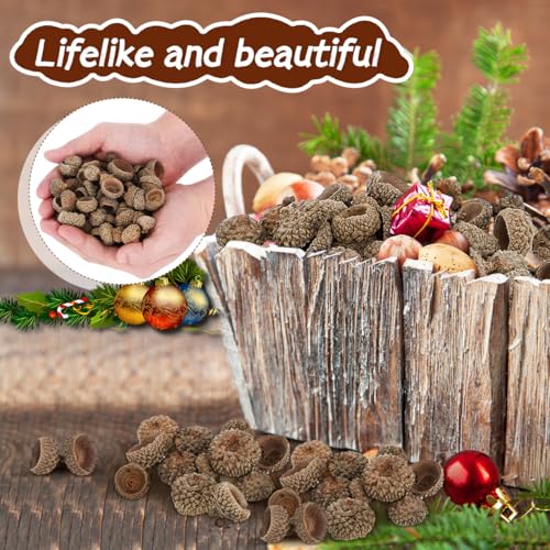 Set de Adornos Naturales de Cáscara de Bellota 50 Pzs miniatura 5