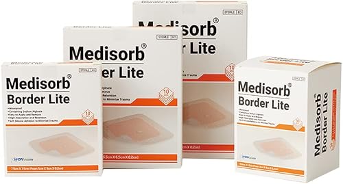 Won Biogen Aderezo Medisorb para bordes, apósito de espuma adhesiva, vendaje húmedo, curación rápida de heridas, impermeable (10 piezas) (3.93 x