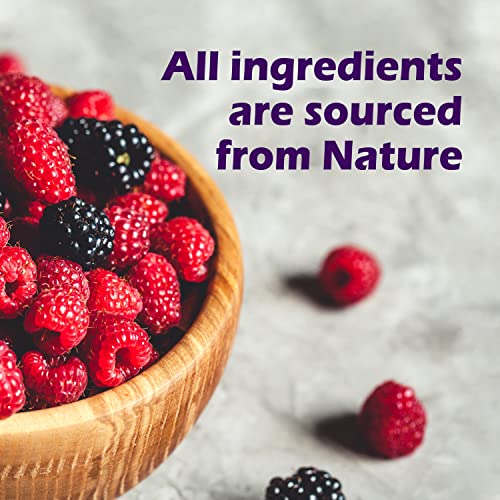 Xyloburst Sugar-Free Xylitol Mint Candy Jars, 60 Pieces Per Jar - Pack Of 8 (Berry) #TOP5