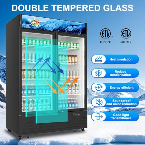 Commercial Beverage Refrigerator 2 Glass Door, 36 Cu.ft Commercial Upright Display Merchandiser Refrigerator, Beverage Cooler with LED Light, Lock Wheels, Adjustable Shelf for Bar, Shop - Image 6