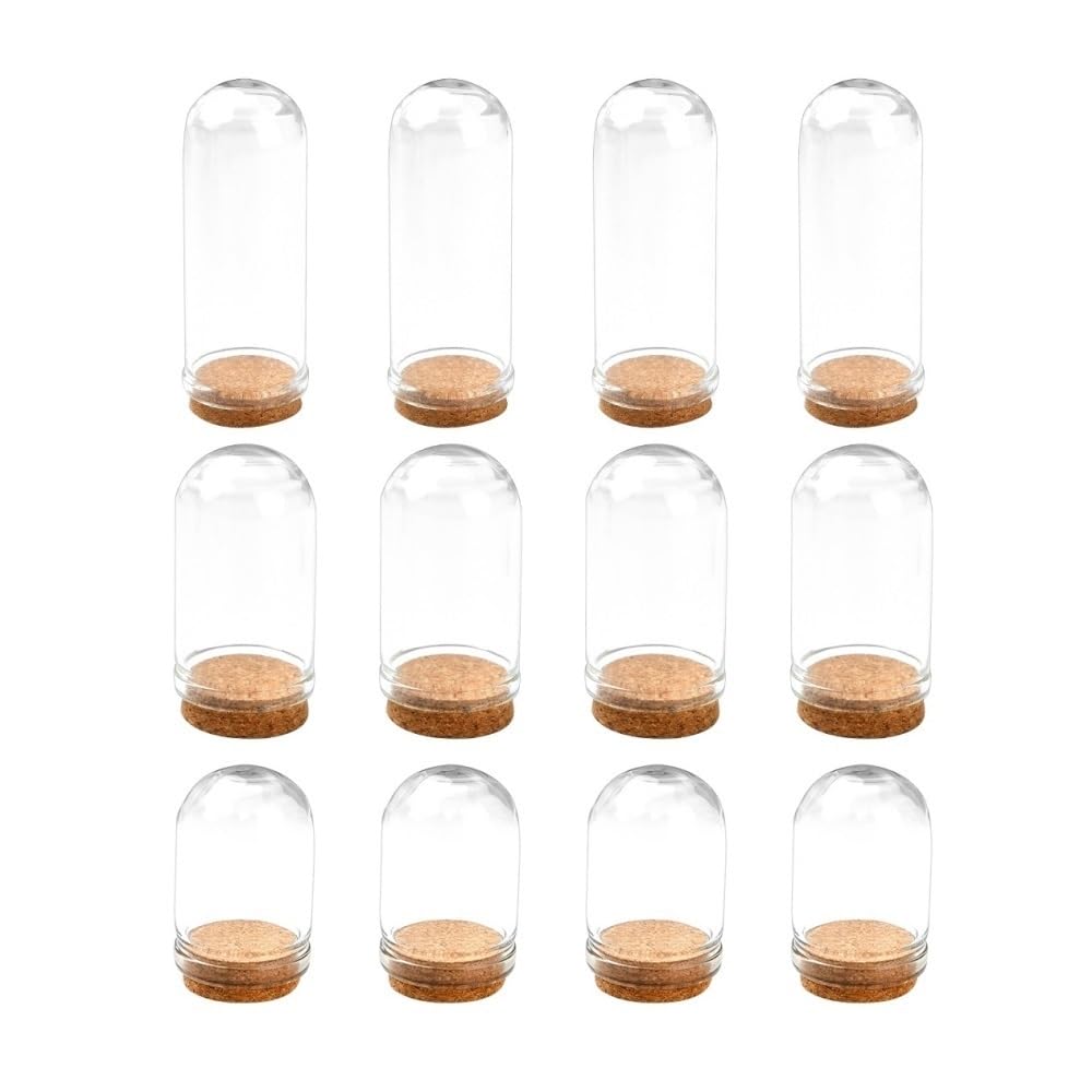 WYQXTY Clear Glass Cloche Display Glass Dome Cloche Covers 15 Pack Multiple Sizes Dried Flower Display Bell Jars