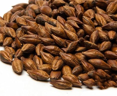 Brown Malt | Amazon