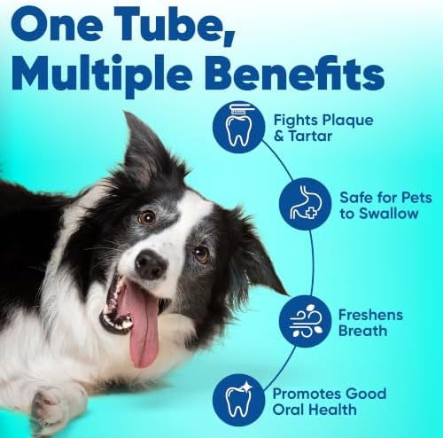 Virbac C.E.T.® Enzymatic Toothpaste| Tartar & Plaque Control for Fresh Breath | Pet Dental Care Toothpaste |Beef Flavor, 2.5 oz - 2