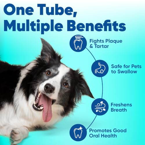 Image of Virbac C.E.T. Enzymatic Toothpaste| Tartar & Plaque Control for Fresh Breath | Pet Dental Care Toothpaste |Vanilla Mint Flavor, 2.5 oz