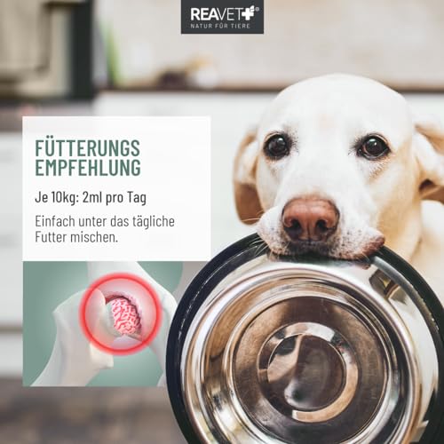 ReaVET Arthro Gelenköl 500ml für Hunde - Zur Unterstützung des Gelenkstoffwechsels bei Osteoarthritis (Arthrose) I Gelenke Hund, Gelenk-Komplex statt Gelenktabletten