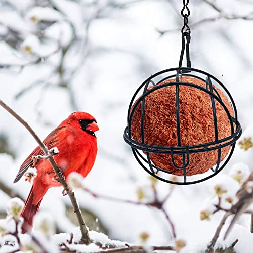 Ksvaye 4 Stück Maisenknödelhalterung Metall Meisenknödelhalter zum Aufhängen Meisenknödel Halterung Vogelfutterstation Meisenknödel-Halter für Garten Wildvögel Finken Spatzen Rotkehlchen (Schwarz)