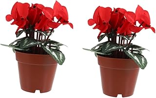 BEBEMOKO 2pcs Simulated Potted Plant Flower Artificial Bonsai Tree Ornament No Daily Care for Home Decor