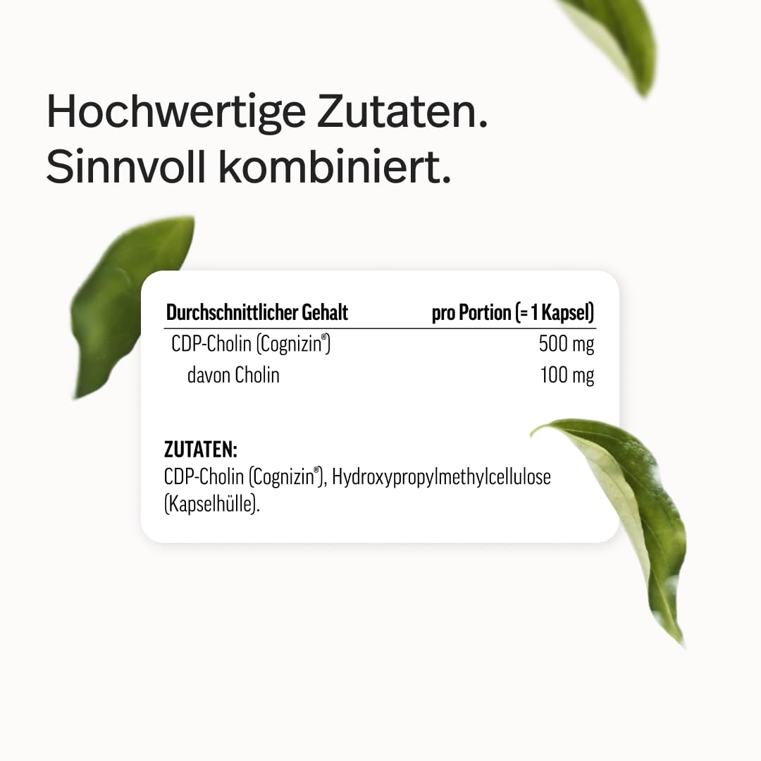 edubily® Cholin - 500mg CDP-Cholin von Cognizin® pro Kapsel - hohe Bioverfügbarkeit - Laborgeprüft - Im Braunglas (60 Kapseln)