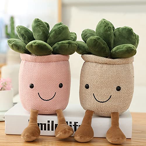Listado y reviews de Cactus viejito precio los mejores 5. 18 Imagen adicional
