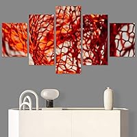 SIGNWIN 5 Panel Canvas Wall Art Abstract Colorful Decorative Elements Modern Artwork for Home Decorations Ready to Hang - 60