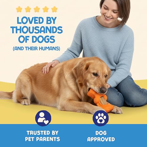 Himalayan Dog Chew Jughead Großer Hundekauhalter, Sichert Kauen für Hunde, Kauen intelligenter und länger, stimulieren Sie Ihren Hund, hält Yak Kauen, 1 Hundespielzeug