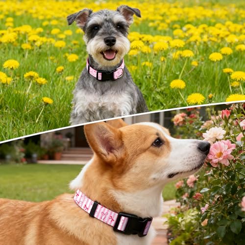 Dog-Collar-Cute-Style-Soft-Comfortable-Durable-Pet-Collar-for-Female-Dogs-Adjustable-Collar-with-Quick-Release-Buckle-for-Small-Medium-Large-Dogs-Puppy-GirlRainbow-LeopardS