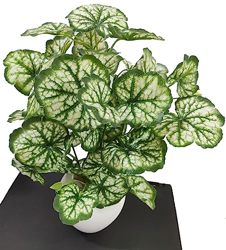 Image of Natural Looking Artificial Money Plant /Tree with Pot | Ornamental Plant for Interior Decor | Home /Shop /Office Decor (Off-White)
