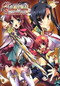 真・恋姫 無双―乙女繚乱☆三国志演義―パーフェクトビジュアルブック