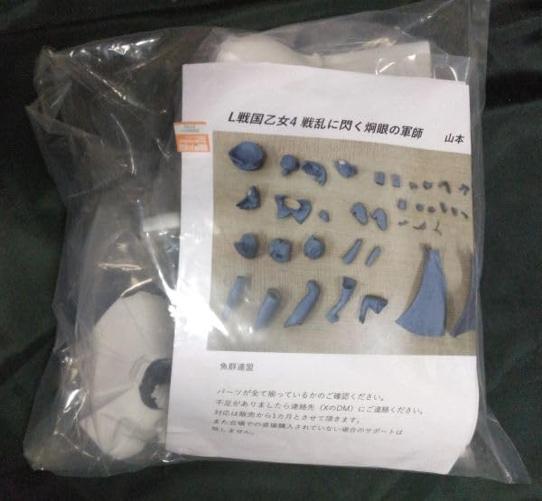 魚群連盟 戦国乙女 山本カンスケ 約1/5 ガレージキット ワンフェス2024夏 Amazon | 魚群連盟 戦国乙女 山本カンスケ 約1/5 ガレージキット