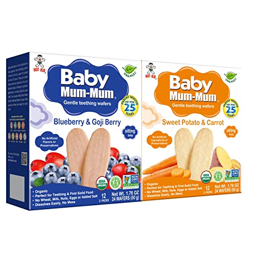 Baby Mum-Mum Blueberry Goji Berry