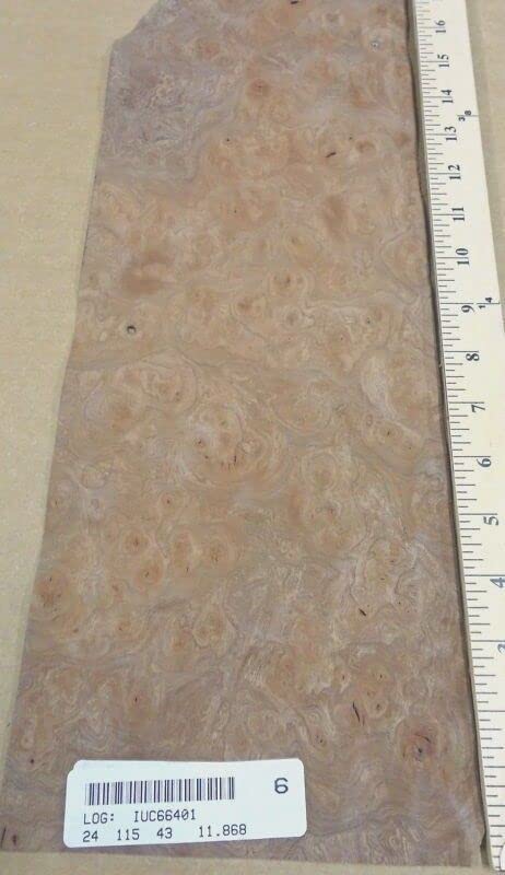 Carpathian Elm Burl Wood Veneer 7" x 18" raw no Back 1/42" Thickness AAA Grade