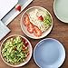8.8 Inch Wheat Straw Dinner Plates Set of 4, Unbreakable Plastic Reusable Plates for Kitchen, Camping, Lightweight Deep Dinnerware Plate Set, Dishwasher and Microwave Safe Plates, Non-Toxic, BPA Free
