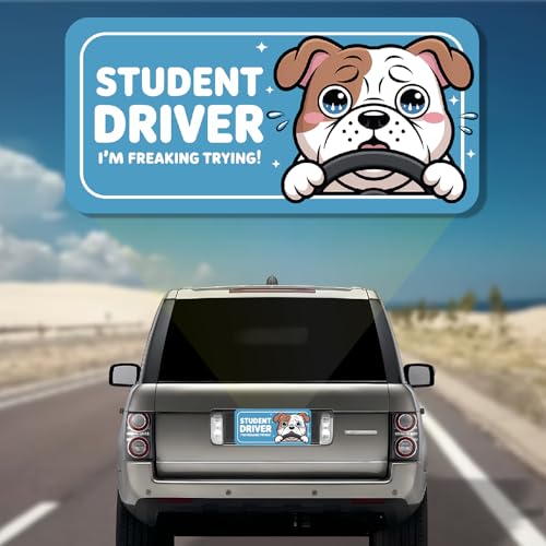 Image of 7.6x3.6 Student Driver Magnet - Adorable Crying Dog Design: Please Be Patient - Funny and Cute Car Decor for New, Teen, and Learner Drivers (Bulldog Student Driver Magnet)