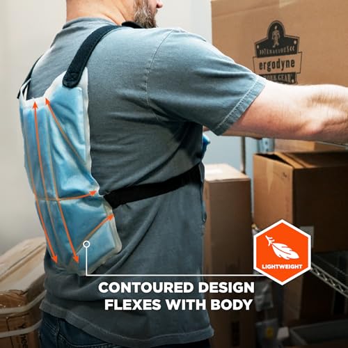 Image of Ergodyne 6210 Phase Change Lightweight Cooling Ice Vest, Cooling Relief for All Environments, Cooling Towel Included