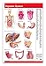 Permacharts Digestive System Chart Guide - Human - 24