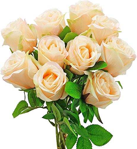 Farm & Ranch 10 Stks Kunstmatige Rose Bloemen Rode Enkele Met Lange Stam en Groene Bladeren voor Thuis DIY Bruiloft Bruids Boeket Decoratie (Champagne)