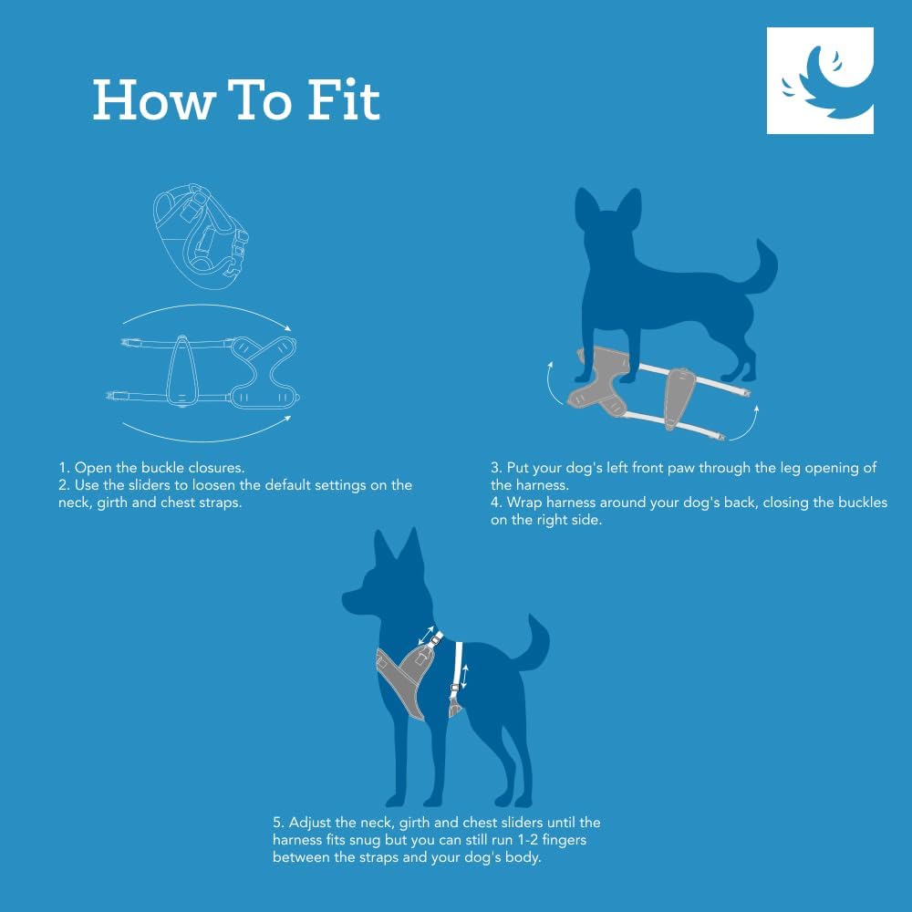 RC Pets Comfortable, Secure, Stylish Petite Explorer Harness | Petite-XX-Small, Jurassic Pack (Small, Houndstooth)