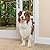 PetSafe Freedom Aluminum Patio Panel Sliding Glass Dog and Cat Door, Adjustable 76 13/16 in to 80 11/16 in - Large White Pet Door