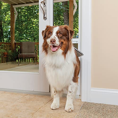 5 Best Patio Pet Doors for Dogs in 2020
