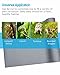 Duedusto Bearded Dragon Tank Accessories, Reptile Terrarium Liner Substrate for Leopard Gecko, Snake, Lizard and Tortoise, Non-Adhesive Reptile Carpet Bedding for Reptile Tank, Grey