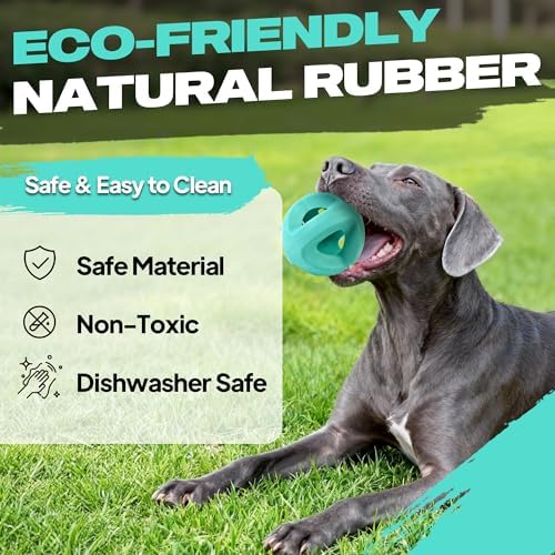 Fida Natural Rubber Dog Balls for Aggressive Chewers — packaging and what arrives in the box