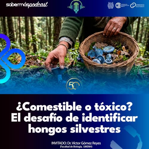 &iquest;Comestible o t&oacute;xico? El desaf&iacute;o de identificar hongos silvestres