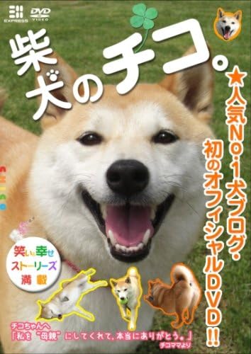 Amazon Co Jp 柴犬のチコ Dvd Dvd ブルーレイ 柴犬のチコ
