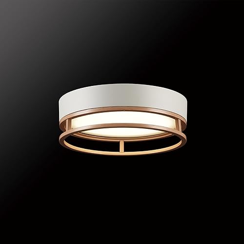 Miniatura 8 de GLOBE Electric 66000038 18.5W Lámpara de techo empotrable LED integrada para interior y exterior, blanco mate, acento en tono madera, mejoras para