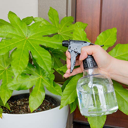 Youngever 6 Pack 16 Ounce Empty Plastic Spray Bottles, Spray Bottles for Hair and Cleaning Solutions (Black)4