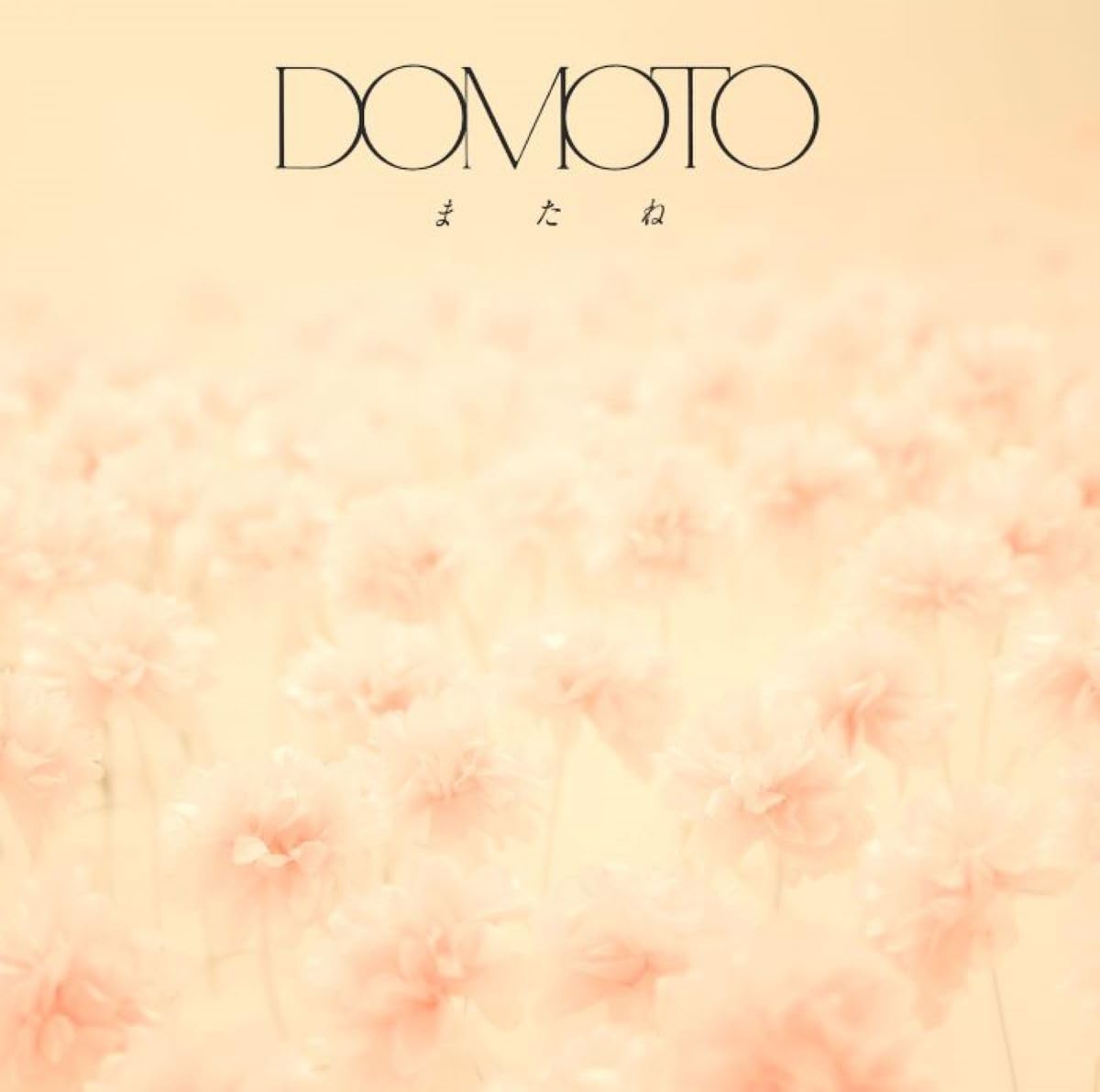 またね (通常盤) -DOMOTO (特典なし)