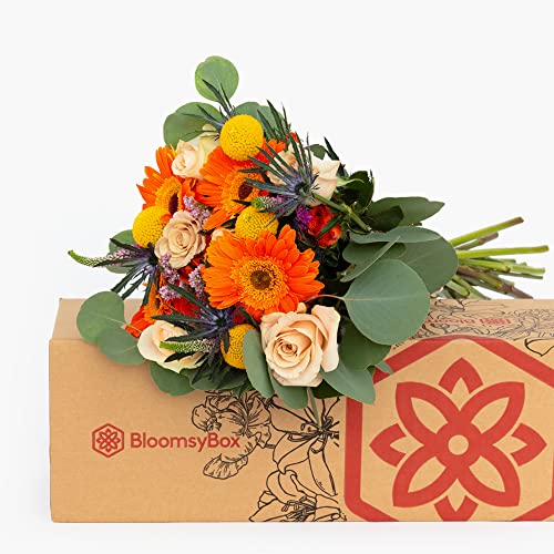 Bloomsybox Farm-Fresh Celebration Bouquet, Multicolor Design, Care Card, Flower Food, Lush Greenery, Flower Delivery, Birthday Flowers, Anniversary Flowers, Wedding Flowers #TOP3