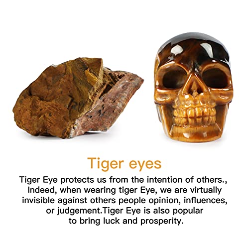 Estatua Decorativa Calavera de Ojo de Tigre 2 pulgadas miniatura 4
