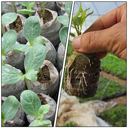Yardwe Indoor Plants House Plants 1 Set Peat Pellets Mini Garden Starter Compressed Fertilizer Soil Block Seedling Starter Soil Block For Flower Indoor Plants House Plants #TOP7