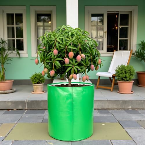 Image of 24x24 Inch HDPE Grow Bag (340 GSM) | UV Protected, Reusable, Heavy Duty Garden Bag for Vegetables, Fruits & Big Trees - Pack of 2