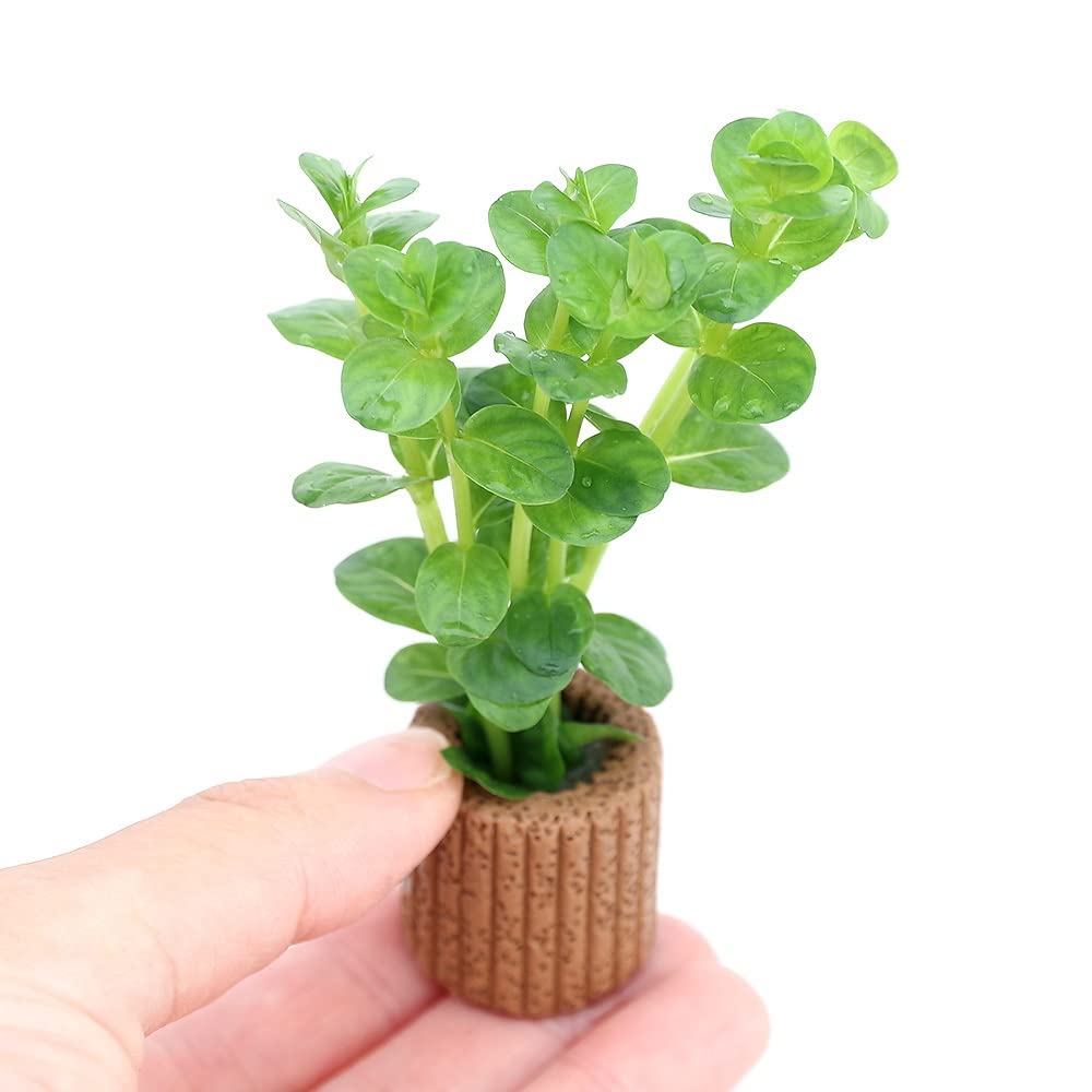 Amazon.co.jp: （水草）置くだけ簡単 ライフマルチ（茶）初心者向け