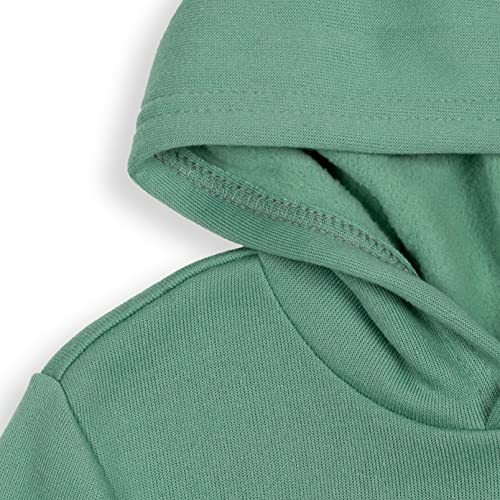 Disney Pixar Toy Story Buzz Lightyear Woody Rex Forky Fleece Pullover Hoodie Toddler to Little Kid3