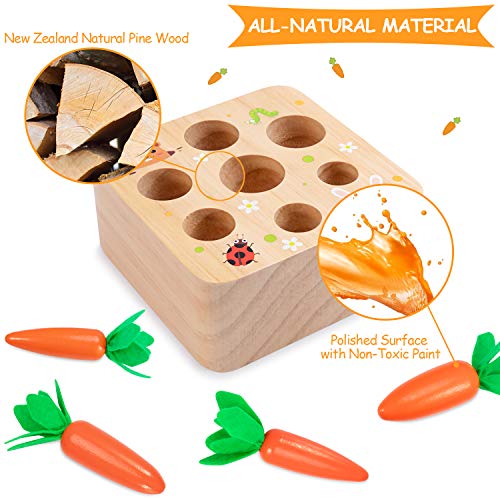 Aojoys Montessori Toys Carrot Harvest Game Toys For Baby Toddlers 1-3 Years Old, Educational Wooden Carrot Toys Shape Size Sorting Matching Puzzle, Great Baby Easter Toys Birthday Gift Toys #TOP4
